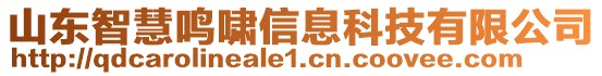 山東智慧鳴嘯信息科技有限公司