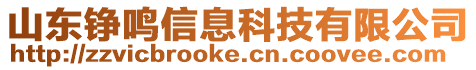 山東錚鳴信息科技有限公司