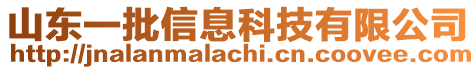 山東一批信息科技有限公司