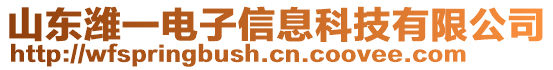 山東濰一電子信息科技有限公司