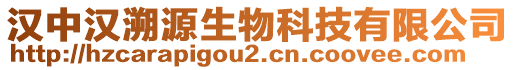 漢中漢溯源生物科技有限公司