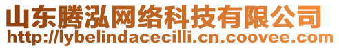 山東騰泓網(wǎng)絡(luò)科技有限公司