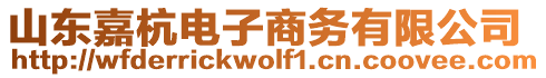 山東嘉杭電子商務有限公司