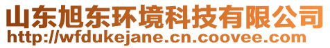 山東旭東環(huán)境科技有限公司