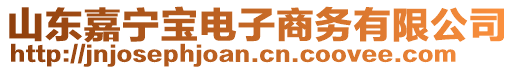 山東嘉寧寶電子商務(wù)有限公司