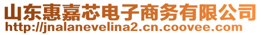 山東惠嘉芯電子商務(wù)有限公司