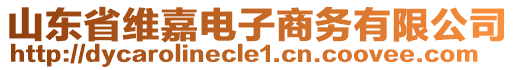 山東省維嘉電子商務(wù)有限公司