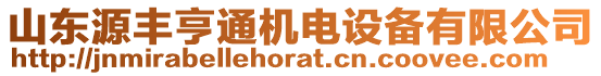 山東源豐亨通機(jī)電設(shè)備有限公司