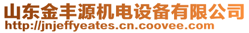 山東金豐源機電設備有限公司