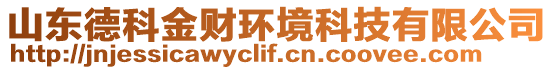 山東德科金財環(huán)境科技有限公司