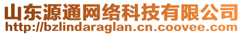 山東源通網(wǎng)絡(luò)科技有限公司