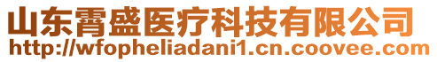 山東霄盛醫(yī)療科技有限公司