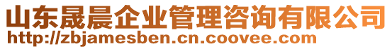 山東晟晨企業(yè)管理咨詢有限公司