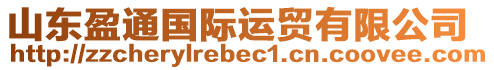 山東盈通國(guó)際運(yùn)貿(mào)有限公司