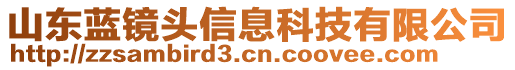 山東藍鏡頭信息科技有限公司