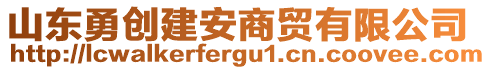 山東勇創(chuàng)建安商貿(mào)有限公司