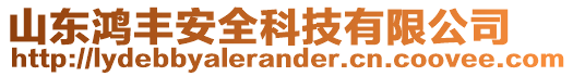 山東鴻豐安全科技有限公司