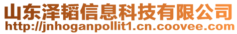 山东泽韬信息科技有限公司