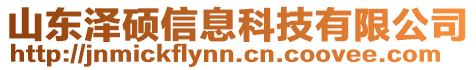 山東澤碩信息科技有限公司