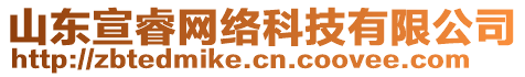 山东宣睿网络科技有限公司