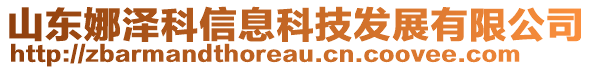 山东娜泽科信息科技发展有限公司