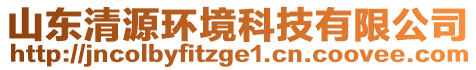 山東清源環(huán)境科技有限公司