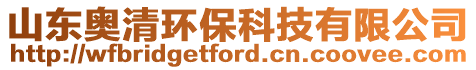 山東奧清環(huán)保科技有限公司