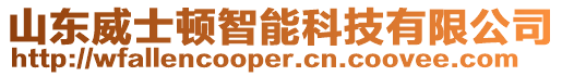 山東威士頓智能科技有限公司