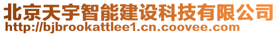 北京天宇智能建設(shè)科技有限公司