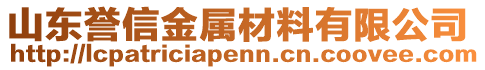 山東譽信金屬材料有限公司