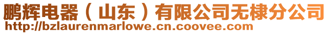 鵬輝電器（山東）有限公司無棣分公司