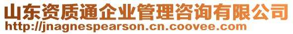 山東資質(zhì)通企業(yè)管理咨詢(xún)有限公司