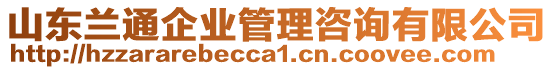 山東蘭通企業(yè)管理咨詢有限公司