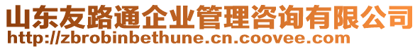 山東友路通企業(yè)管理咨詢有限公司