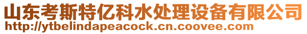 山東考斯特億科水處理設(shè)備有限公司
