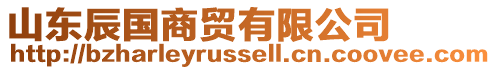 山東辰國(guó)商貿(mào)有限公司