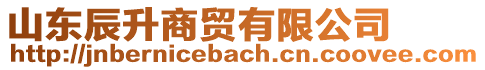 山東辰升商貿(mào)有限公司