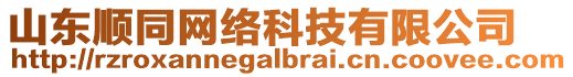 山東順同網(wǎng)絡(luò)科技有限公司