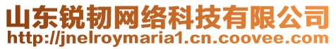 山東銳韌網(wǎng)絡(luò)科技有限公司