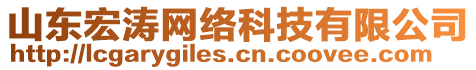 山東宏濤網(wǎng)絡(luò)科技有限公司