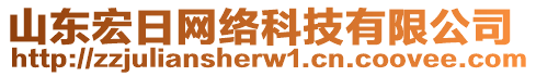 山東宏日網(wǎng)絡(luò)科技有限公司