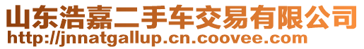 山東浩嘉二手車交易有限公司