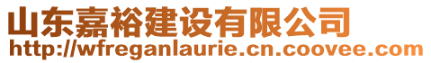 山東嘉裕建設有限公司