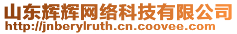 山東輝輝網(wǎng)絡(luò)科技有限公司