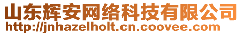 山東輝安網(wǎng)絡(luò)科技有限公司