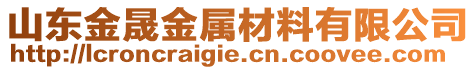 山東金晟金屬材料有限公司