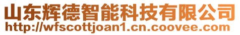 山東輝德智能科技有限公司