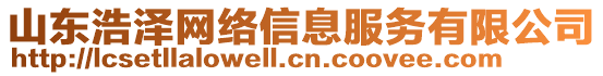 山東浩澤網(wǎng)絡(luò)信息服務(wù)有限公司