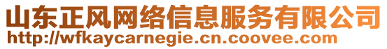 山東正風網(wǎng)絡信息服務有限公司