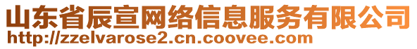 山東省辰宣網(wǎng)絡(luò)信息服務(wù)有限公司